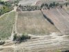 I sell a 26-acre field in Kırklareli