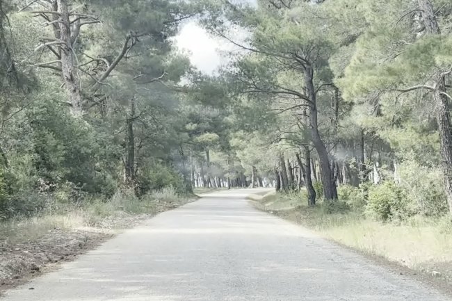 Kaz Dağları Köy Yolu