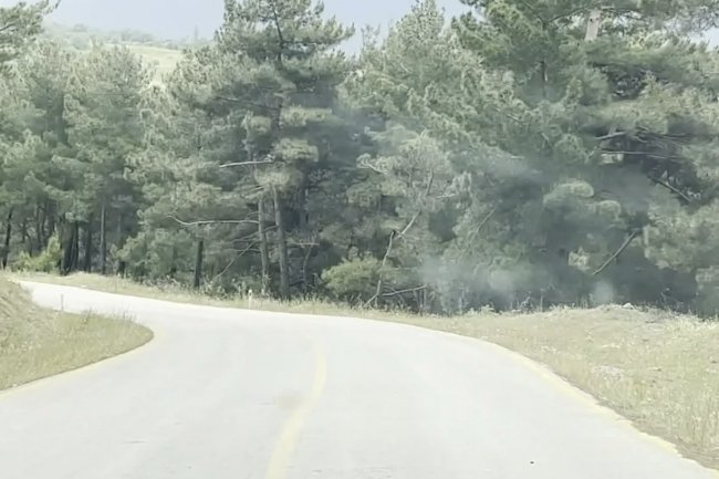 Kaz Dağları Yolu