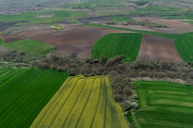 Arsa ve Arazi Alımında Hangi Nedenler Daha Güçlü.
