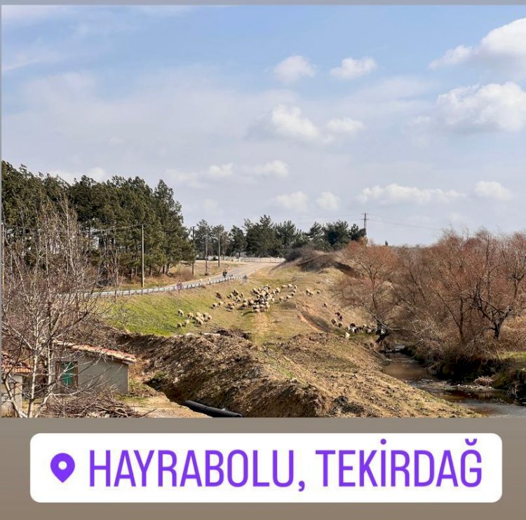 Hayrabolu Tekirdağ