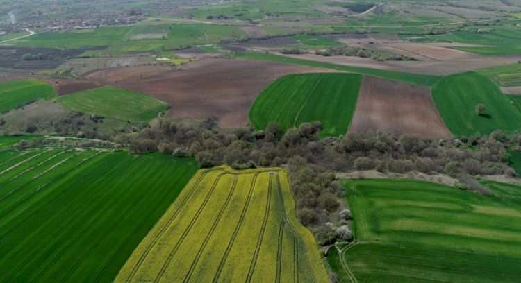 Arsa ve Arazi Alımında Hangi Nedenler Daha Güçlü.