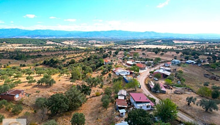 I am on my way to becoming an expert land real estate agent in the Çanakkale Bayramiç Kaz Mountains Region.