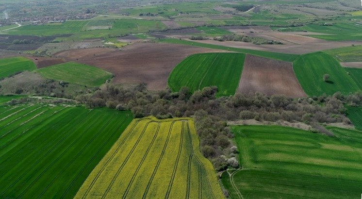 Kırklareli Edirne arsa arazi emlakçılığında talep almaya başladım.